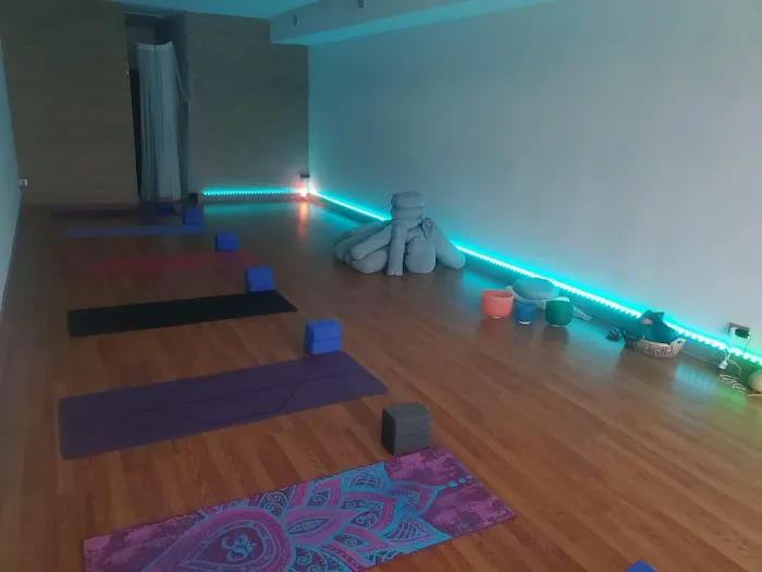 Neuro-Yoga Institute Picture 2