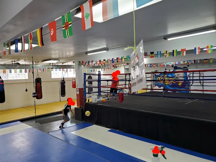 Chicago Youth Boxing Club Picture 3
