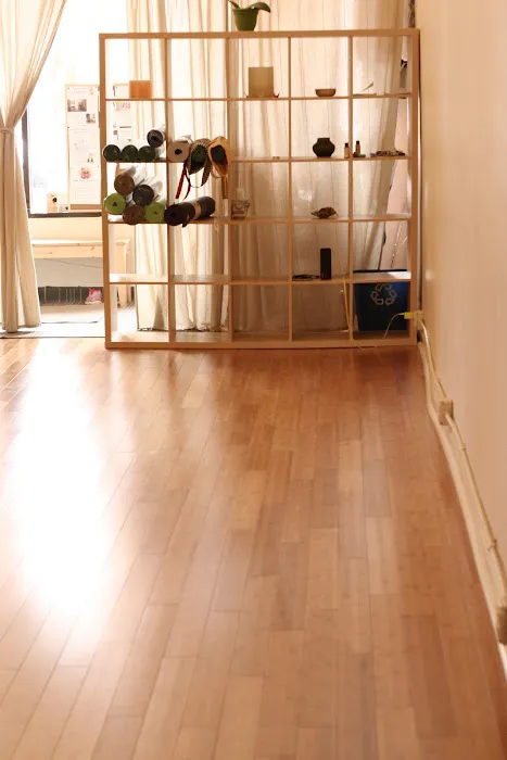 Ahimsa Yoga Studio Berwyn Picture 2