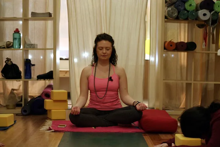 Ahimsa Yoga Studio Berwyn Picture 6