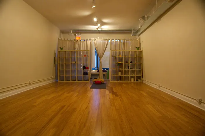 Ahimsa Yoga Studio Berwyn Picture 7