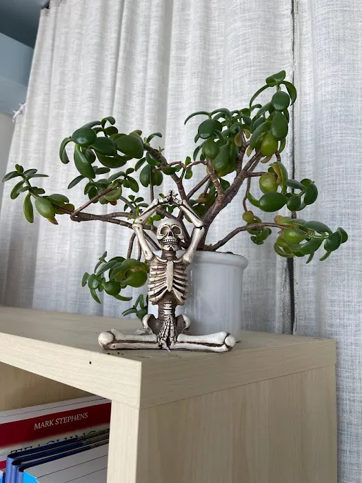 Ahimsa Yoga Studio Berwyn Picture 4