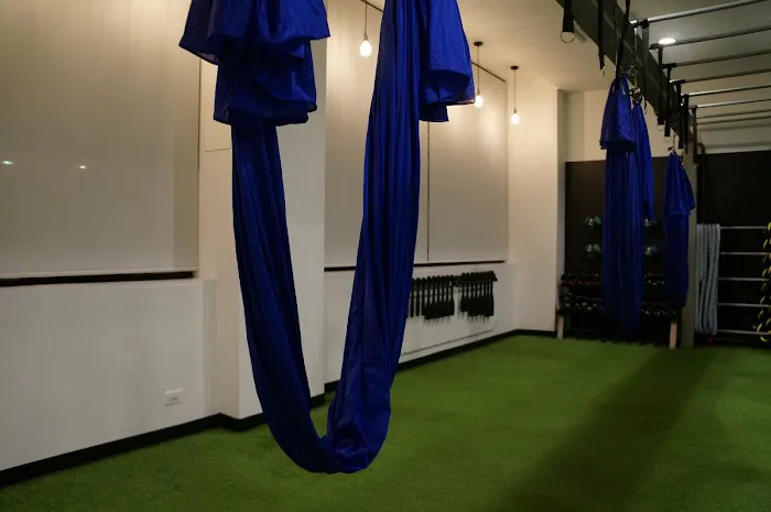 Macrocosm Roots at the Treehouse Picture 5