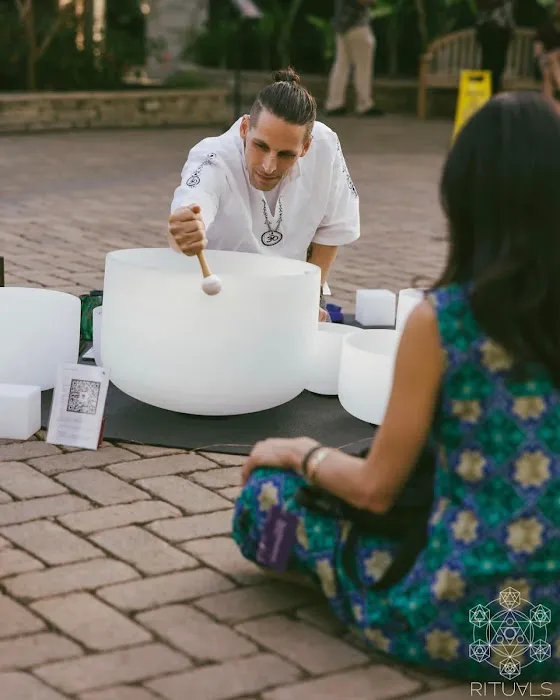 Macrocosm Roots at the Treehouse Picture 1