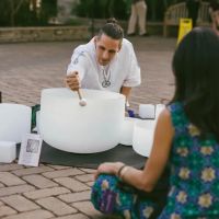 Macrocosm Roots at the Treehouse ico