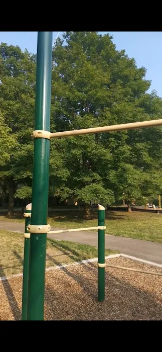Roosevelt Park Outdoor Gym Celestetic Picture 2