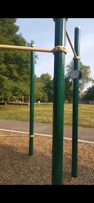 Roosevelt Park Outdoor Gym Celestetic Picture 1