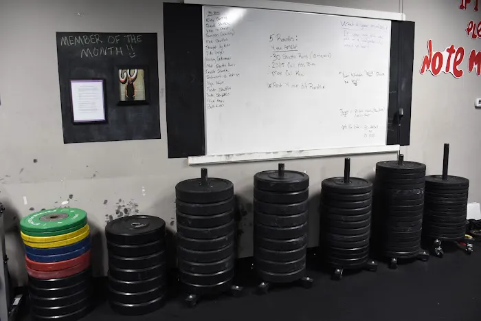 Cross Training Natus Vincere Picture 9