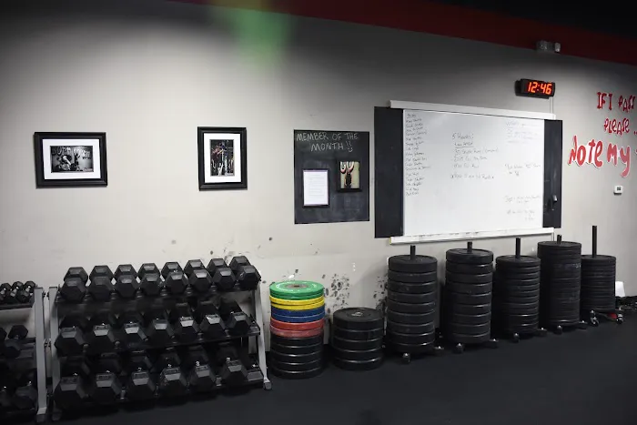 Cross Training Natus Vincere Picture 7