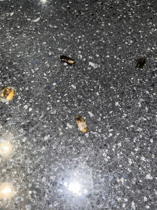 CFX Crest Hill Picture 6