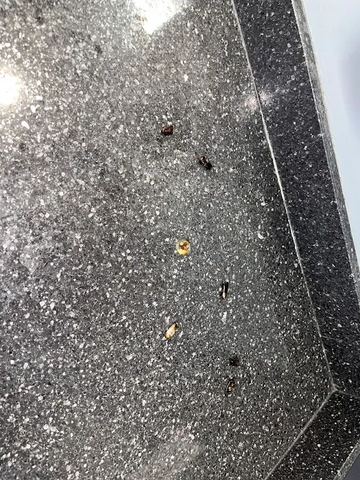 CFX Crest Hill Picture 10