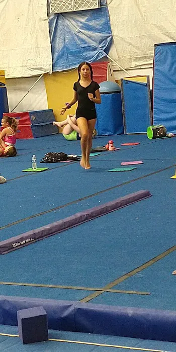 Aspire Gymnastics Academy Picture 1