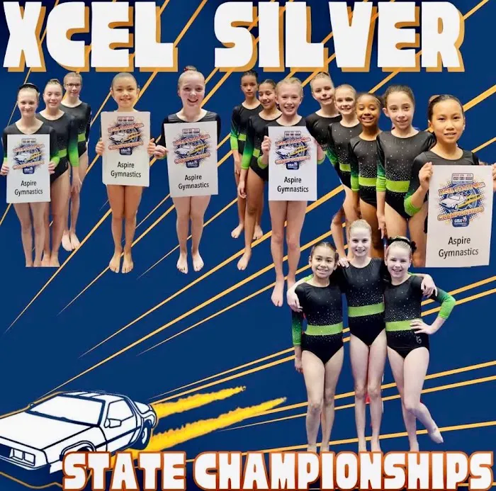 Aspire Gymnastics Academy Picture 3