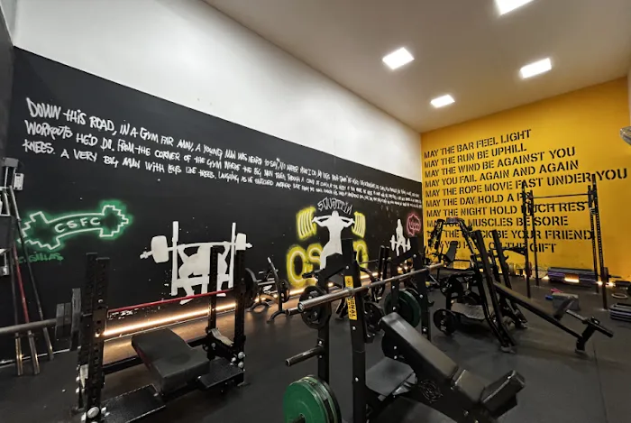 Chicago Sports & Fitness Club Picture 10