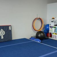 Technique Tumbling & Cheer Prep ico