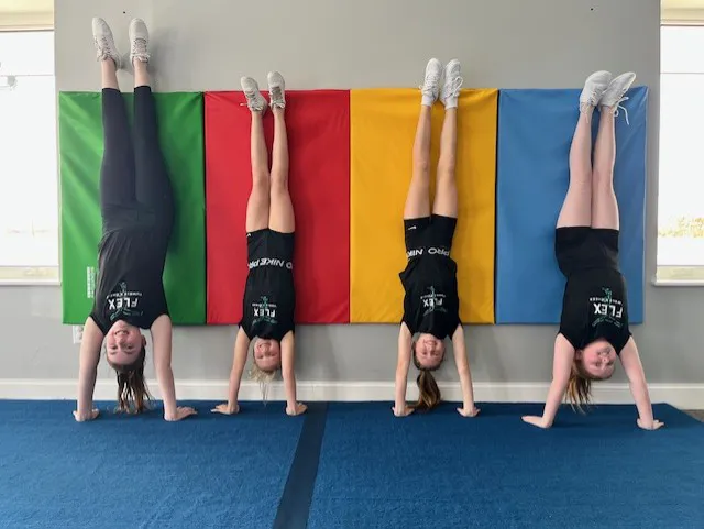 FLEX Tumble & Cheer Picture 1