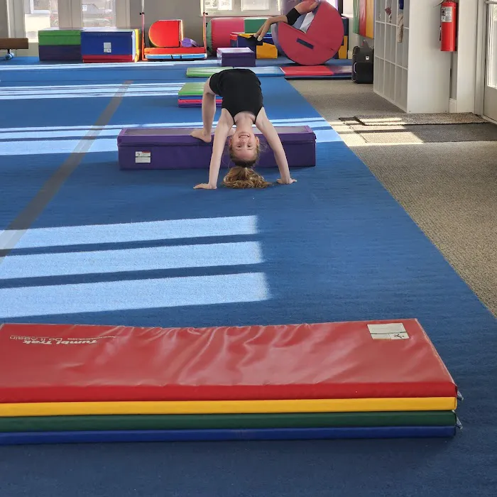 FLEX Tumble & Cheer Picture 4