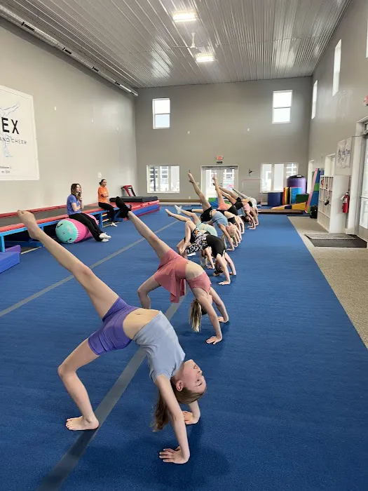 FLEX Tumble & Cheer Picture 9