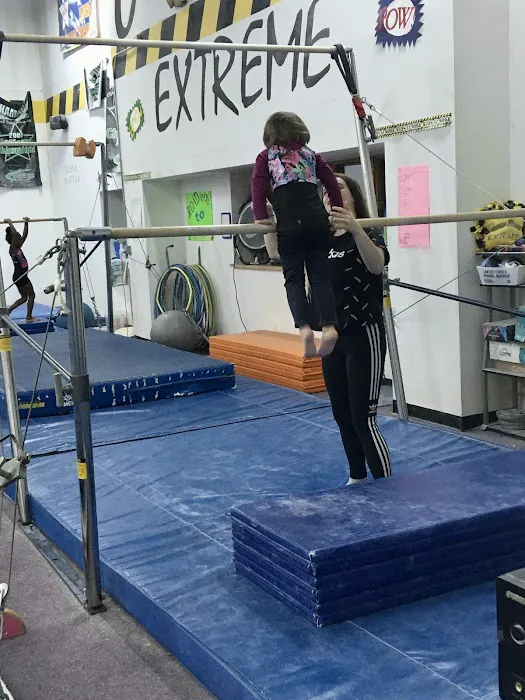 Gymnastics Zone & Cheer Zone, Inc. Picture 4