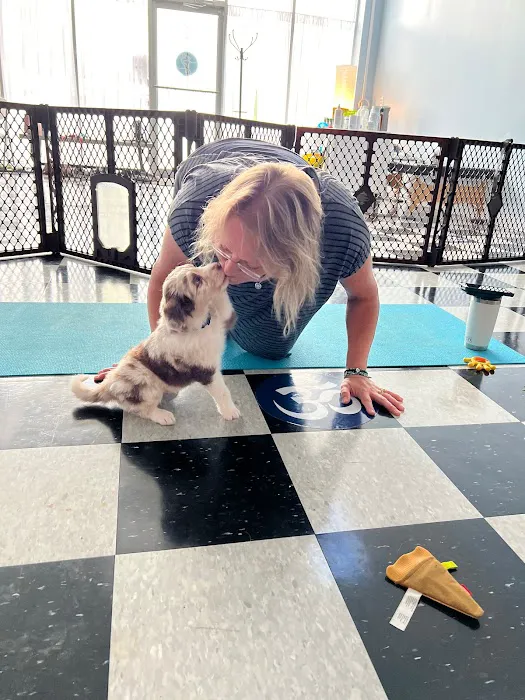 Balance Yoga Picture 2