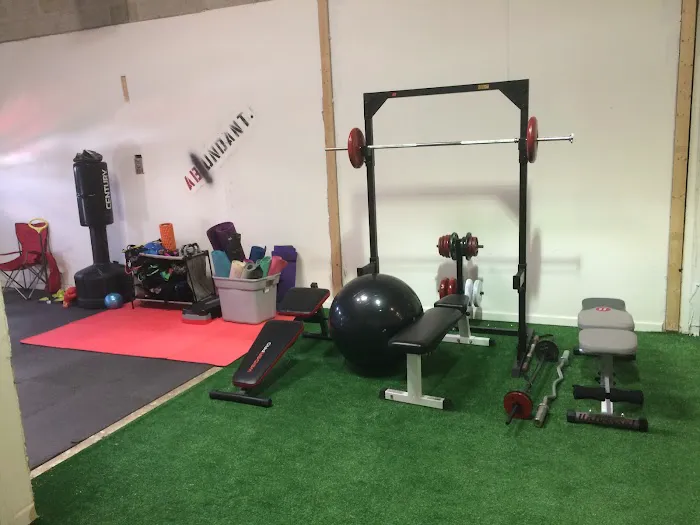 Abundant Fitness LLC Picture 1