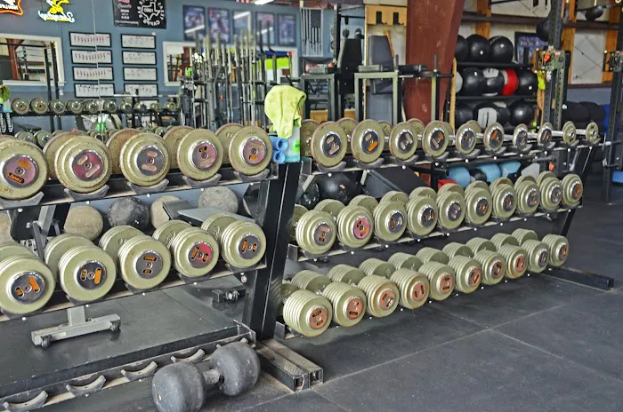 Run A Muck Picture 1