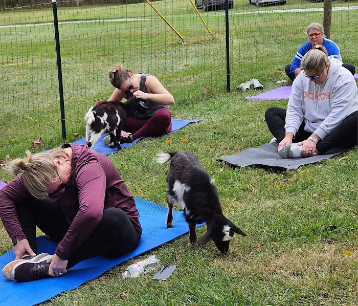 Original Goat Yoga - New Castle KY Picture 1