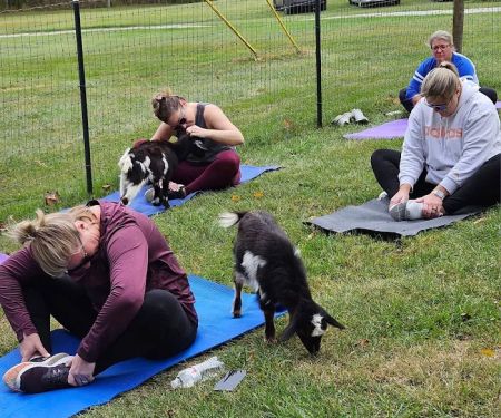 Original Goat Yoga - New Castle KY