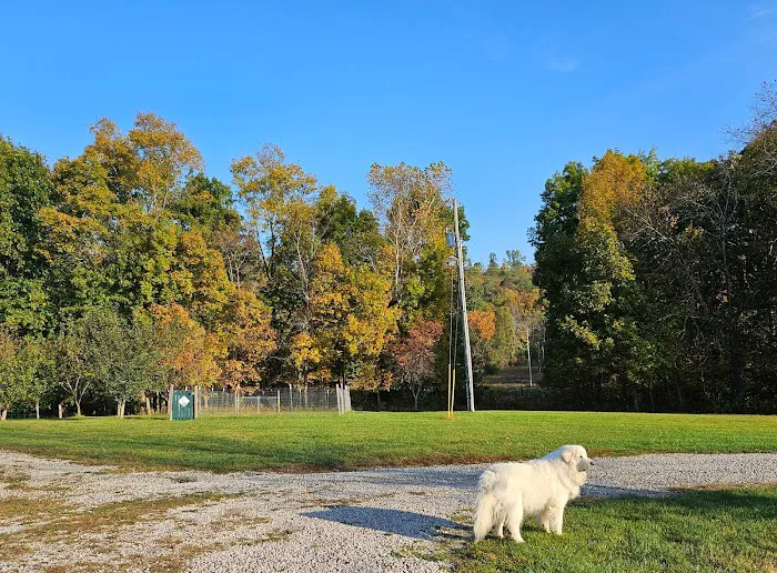Original Goat Yoga - New Castle KY Picture 3