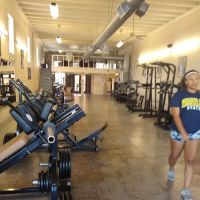 Egyptian Fitness Center (formerly 24/7 Fitness) ico