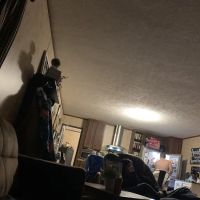 Flip-Flops & Fitness ico