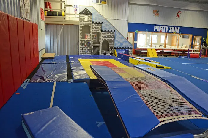 Phoenix Elite Picture 10