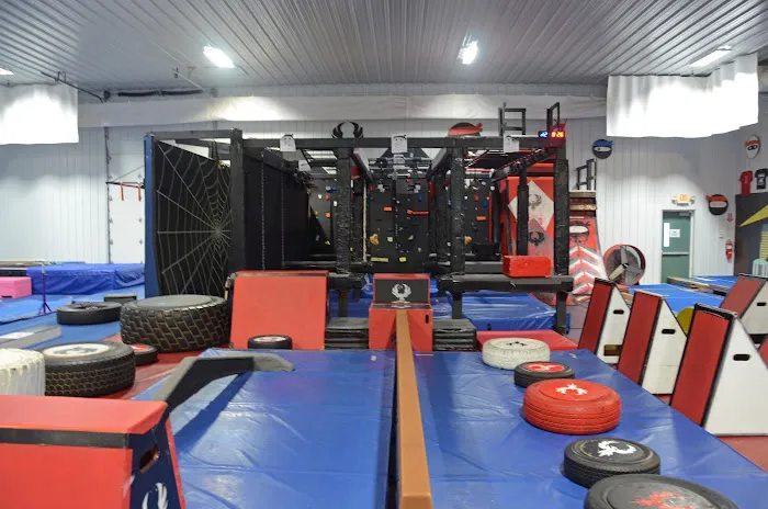 Phoenix Elite Picture 4