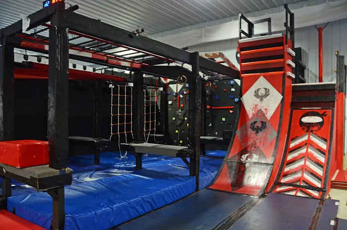 Phoenix Elite Picture 2