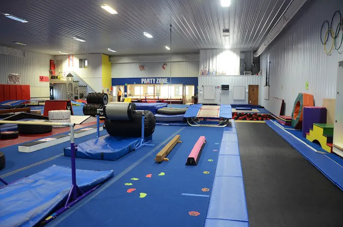 Phoenix Elite Picture 3