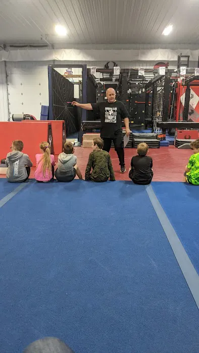 Phoenix Elite Picture 6