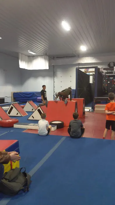 Phoenix Elite Picture 8