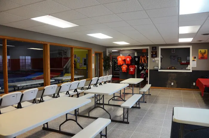 Phoenix Elite Picture 9