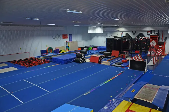 Phoenix Elite Picture 5