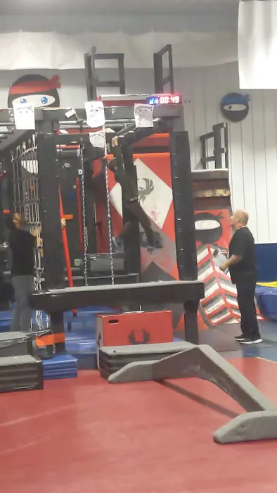 Phoenix Elite Picture 1