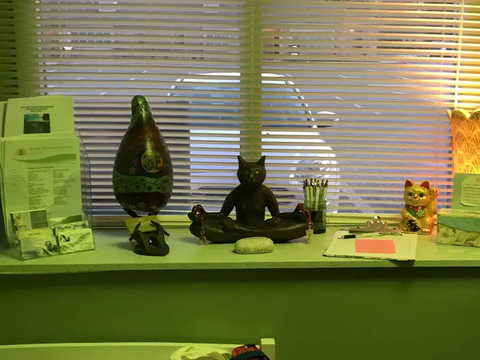 Asha Yoga And Meditation Center Picture 8