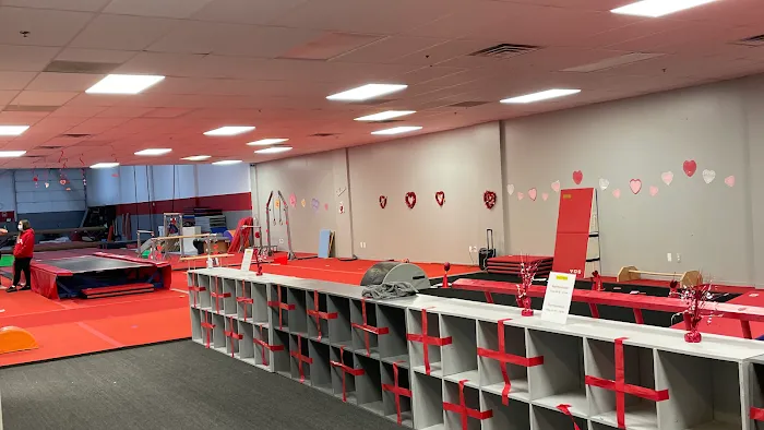 Sterling Gymnastics Academy Picture 4