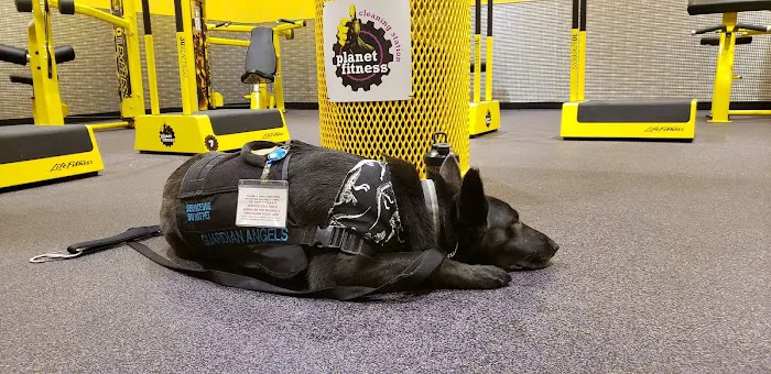 Planet Fitness Picture 10