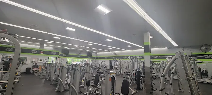NLX FITNESS Picture 2