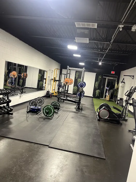 Reshape And Revive Training Studio Picture 1