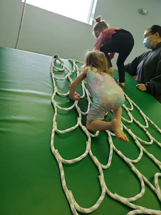 Flipz Tumbling Gym Picture 2