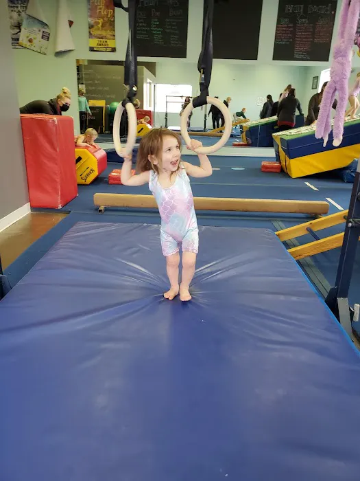 Flipz Tumbling Gym Picture 1