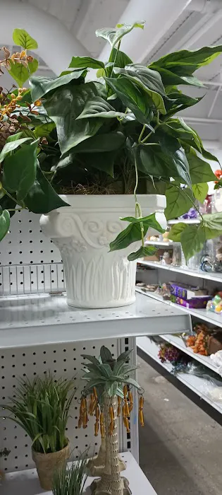 Planet Fitness Picture 4