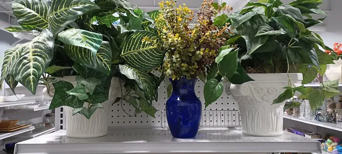 Planet Fitness Picture 7