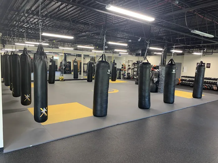 Invicta KickboxingX, Ltd Picture 7